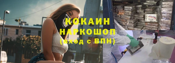 винт Абаза