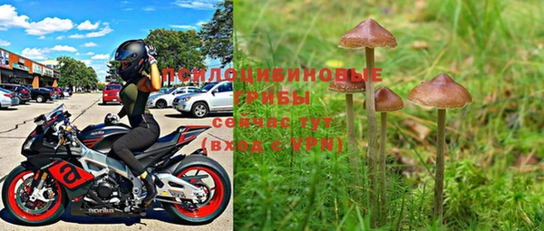гашиш Нея