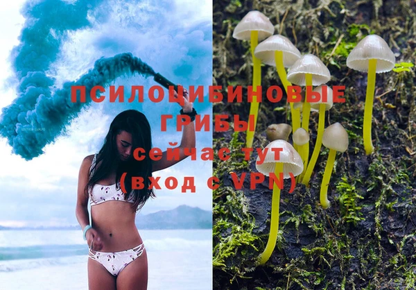 сатива Абинск