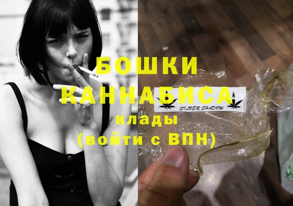 PSILOCYBIN Абдулино