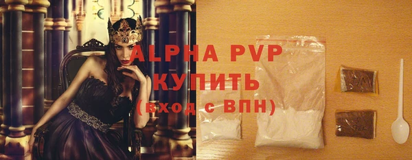прущие грибы Нефтекумск