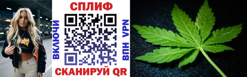 Конопля тримм  продажа наркотиков  Новокубанск 